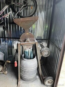 Šrotovník kladivkový