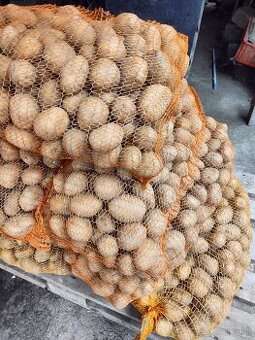 Domáce zemiaky na maštaľnom hnoji akcia 0,50€/kg Prešov