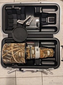 Canon 600mm mark II