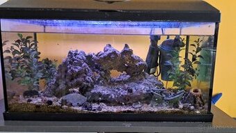 Morske akvarium