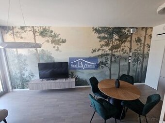 PRENÁJOM, BOTTOVA (1), STARÉ MESTO - 2 IZBOVÝ BYT