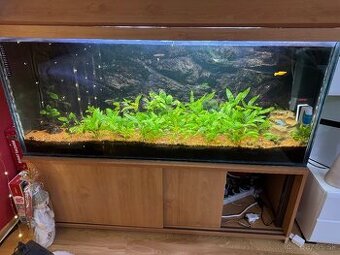 Predám 300l akvárium