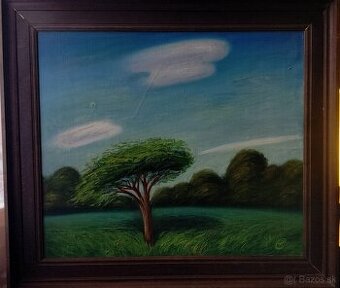 predám zarámovanú olejomaľbu na plátne