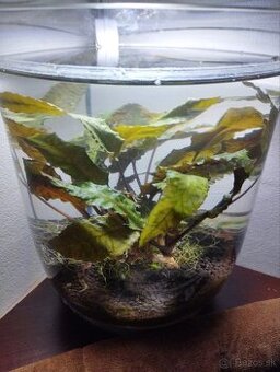 Bezúdržbové miny akvarium - 1