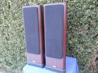 Tanoy 633 Rosewood D30