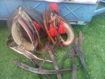 2x konské postroje