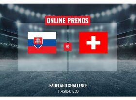 Prípravný zápas Slovensko - Švajčiarsko