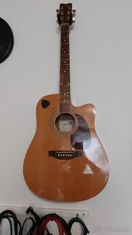 Elektroakustická Gitara