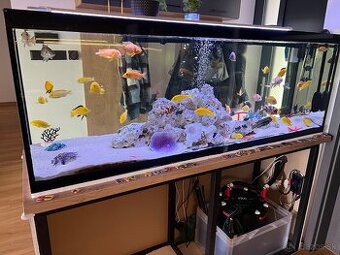 Predam akvarium