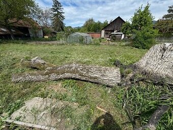Orechové drevo