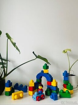 Lego Duplo Primo Building Fun 2019-1