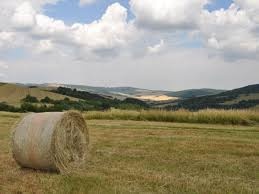 Poľnohospodárska pôda