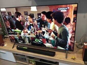 TV LG OLED 55A23LA