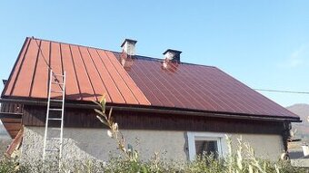 ✅️✅️✅️Maľovanie striech natieranie nátery N15