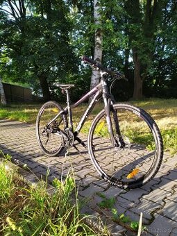 Prodám bicykle Roce Liv