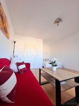 TREEF ponúka na prenájom útulný 1-izbový byt