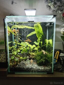 Akvárium Aquael shrimp Smart 30L