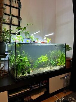 Akvarium