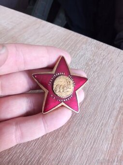 Partizánsky odznak.A.S.Jegorov.SNP.Odboj.