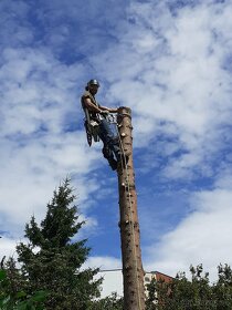 Pílenie stromov, arboristika, výrub stromov, orez stromov