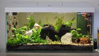 Akvarium 60L