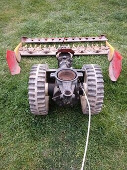 Vari listova kosacka