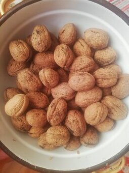 Predám vlašské orechy nelúpané