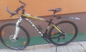 Scott 29"