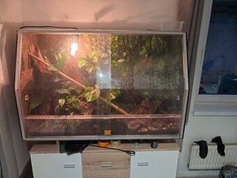 Terarium