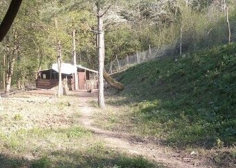 Ponúkame vám na predaj pozemok v katastri obce Banka