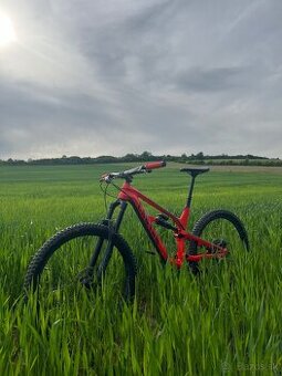 Canyon Spectral 5