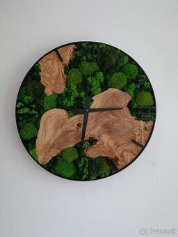 Machové hodiny OLIVA