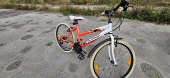 Author /24ka kolesa   Junior