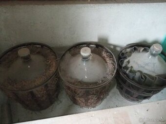 Predám demižóny 50 l.