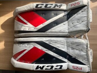 Brankárske hokejové betóny