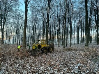Predám LKT 81 štandard