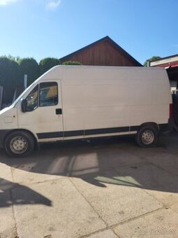 Ducato