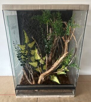 Zariadené terárium 50x35x70