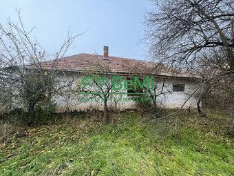 Predaj vinica, záhrada /ZNÍŽENÁ CENA/ Levice, Kalinčiakovo