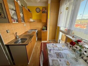 Byt 1+1 s loggiou Smižany