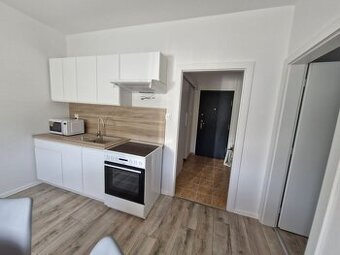 Predaj 1-izbovy byt s balkónom