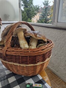 Sušené hríby