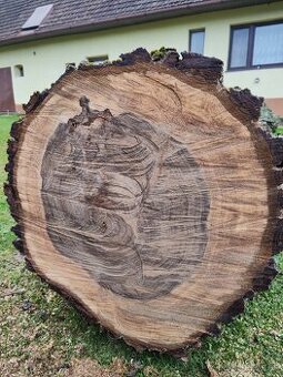 Predám kmene z čerstvo spíleneho stromu