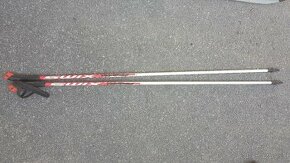 Lyžiarske palice – mix značiek