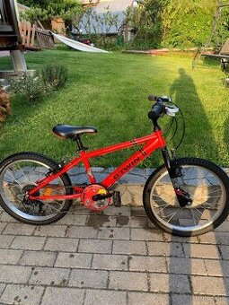 Bicykel 20