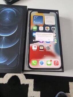 iPhone 12 pro max