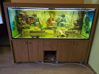 Akvarium 500 L