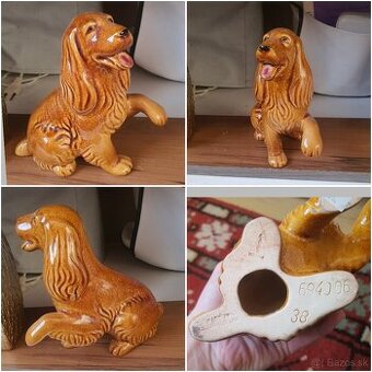 Kokrspaniel czechoslovakia