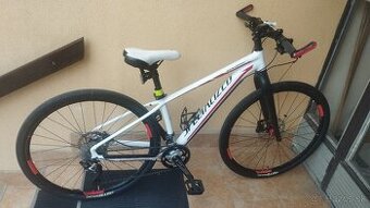 Specialized flatbar gravel