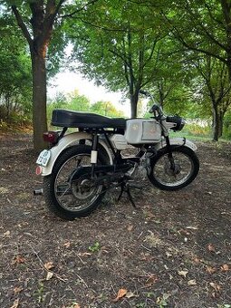 Jawa mustang